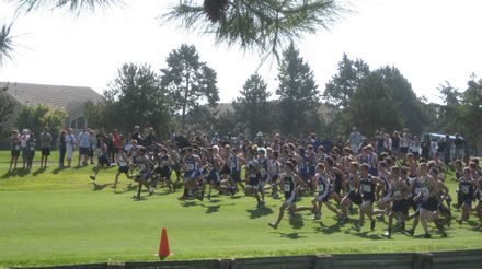 Varsity Boys start, Pacific Tiger HS XC Invitational, 2012